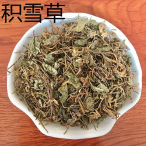 积雪草铜钱草马蹄草钱齿草崩大碗不满意可以退换货