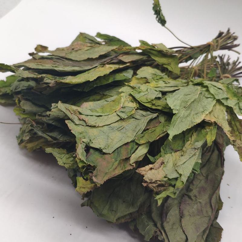 人参叶货好量大要多了有优惠欢迎下单