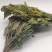 人参叶货好量大要多了有优惠欢迎下单