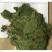 人参叶货好量大要多了有优惠欢迎下单