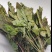 人参叶货好量大要多了有优惠欢迎下单