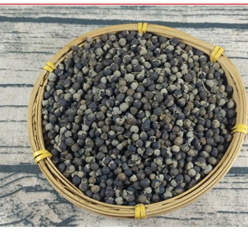 中药蔓荆子稀缺品种，质量****欢迎下单
