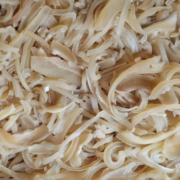 皮丝
