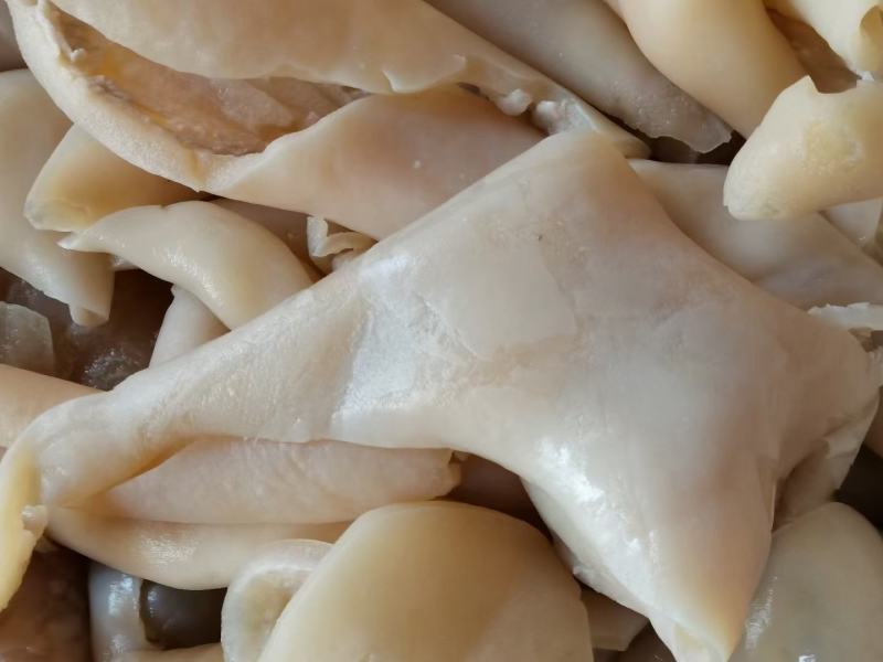 皮丝