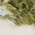 伸筋草，外用药材大量有货，需要联系我