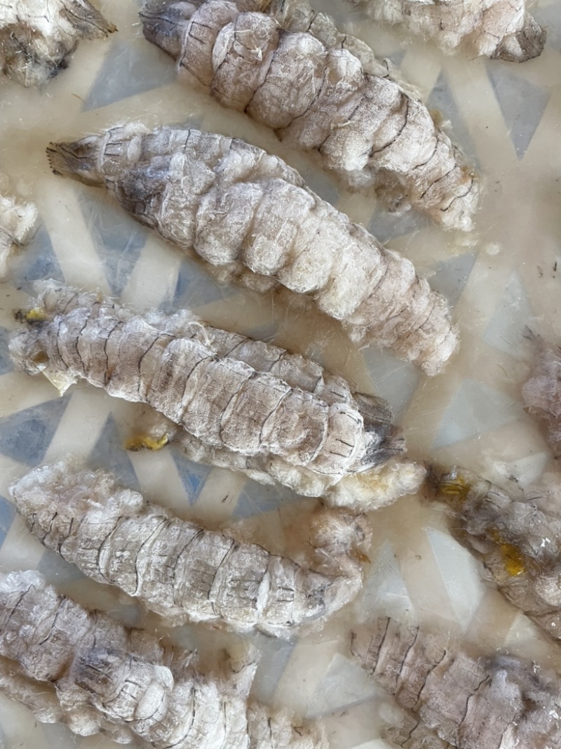 皮皮虾肉虾姑肉爬虾肉虾婆肉琵琶虾肉海鲜水产