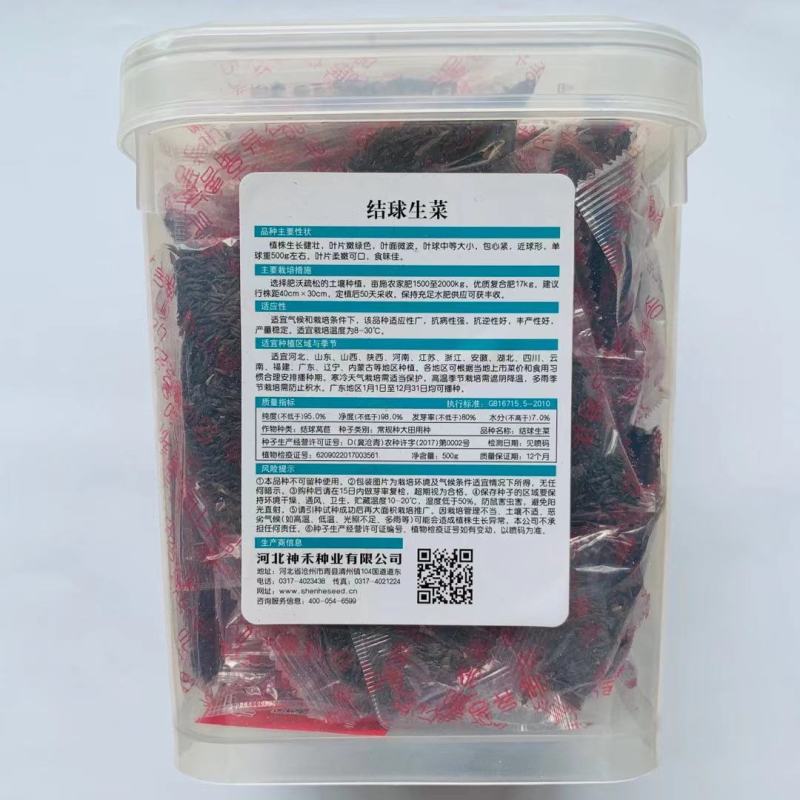 结球生菜种子叶片嫩绿，球型紧实大田专用品种种子