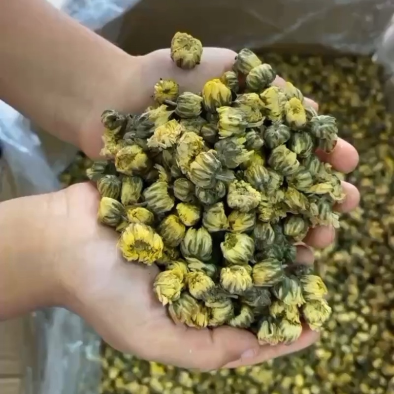 产地直供胎菊王胎菊米江苏胎菊朵花北京胎菊