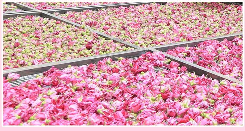 新疆于田万亩沙漠大马士革玫瑰基地玫瑰花茶国家地理标志