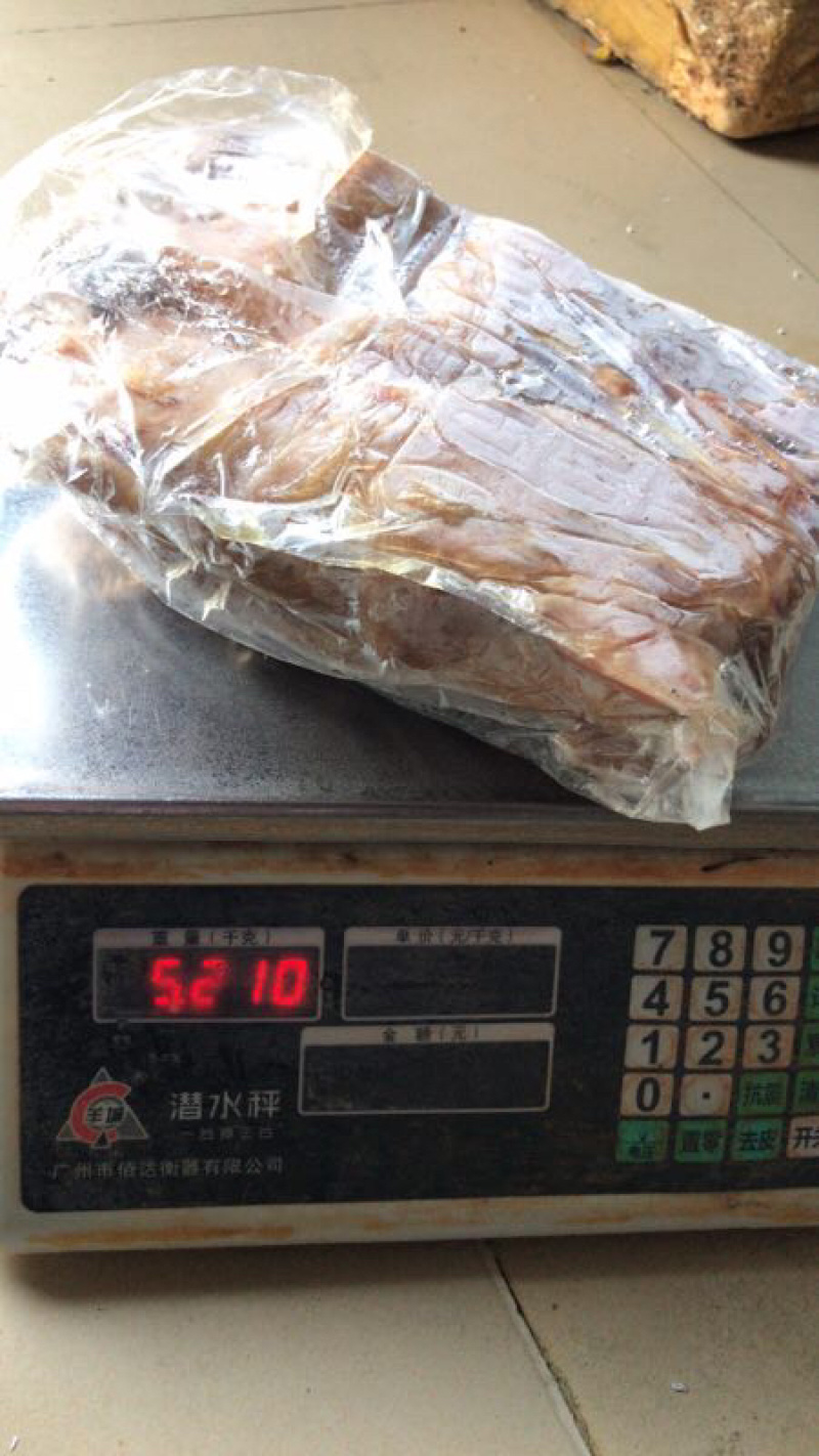 广东白条鹧鸪规格齐全质量保证量大从优全国直发
