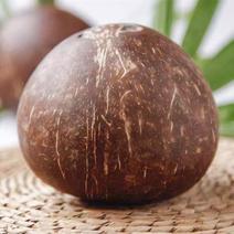 椰皇一件抛光打磨孕妇水果热带特产椰子非椰青椰白