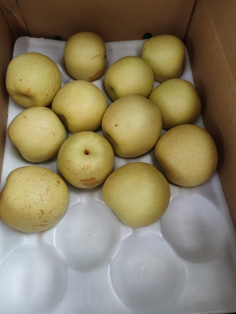 原纸袋大量皇冠梨脆脆甜甜质量有保证一次合作终身朋友