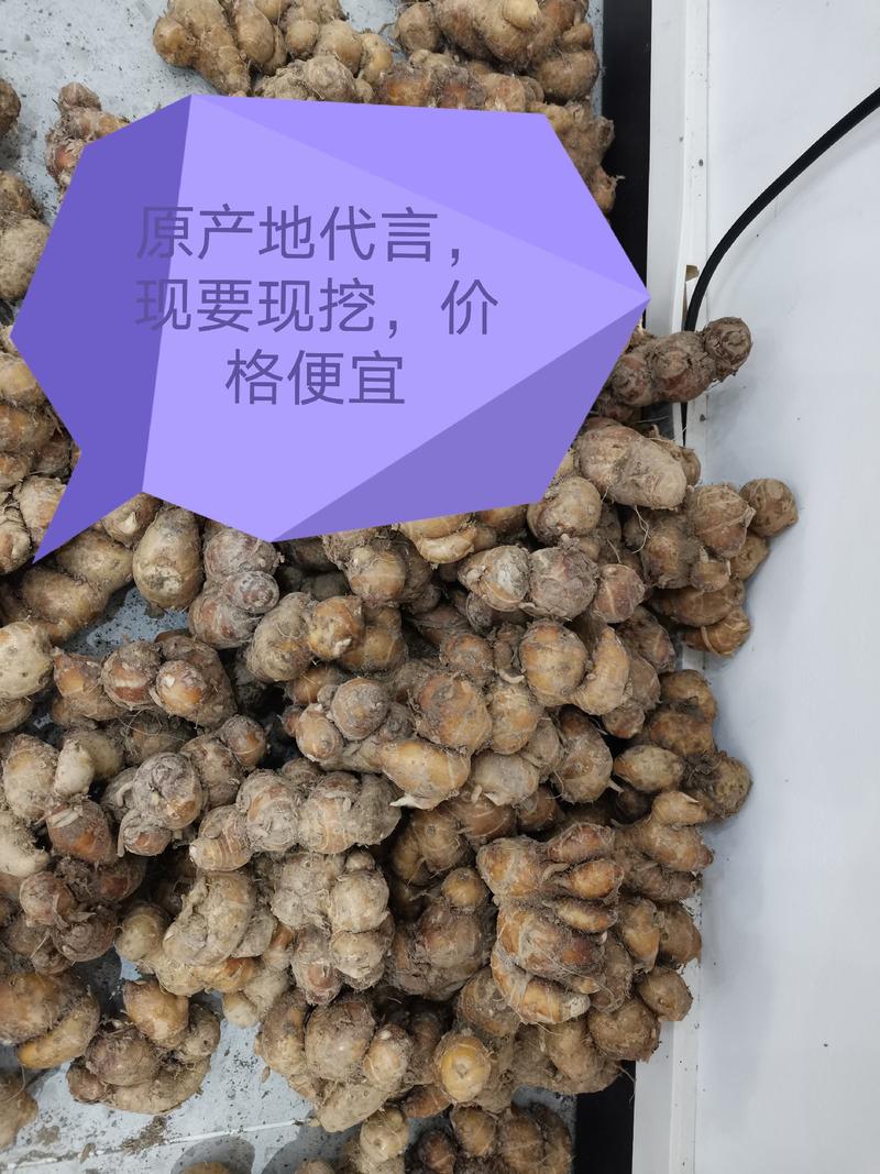 自产自销广西钦州市钦北区大量新鲜沙姜，需要的请联系