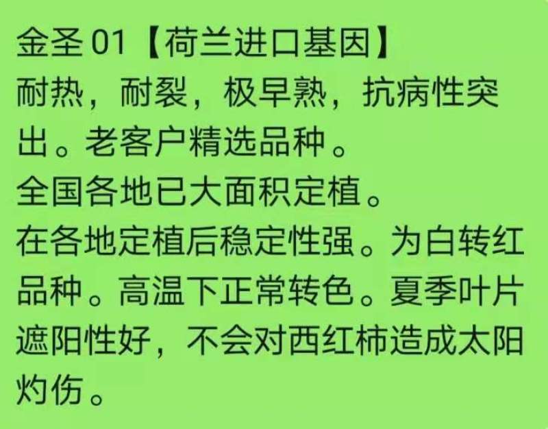 粉果西红柿种子番茄种种子早熟品种亮粉色硬度好耐储运