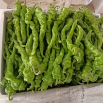 螺丝椒