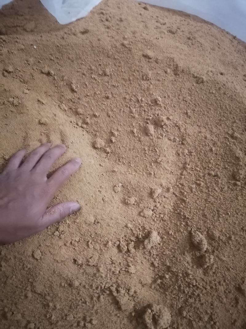 五指毛桃种子
