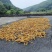 农家原生态竹笋干，原汁原味