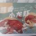 加热即食小龙虾整虾熟食潜江特级特大号蒜蓉十三香麻辣小龙虾