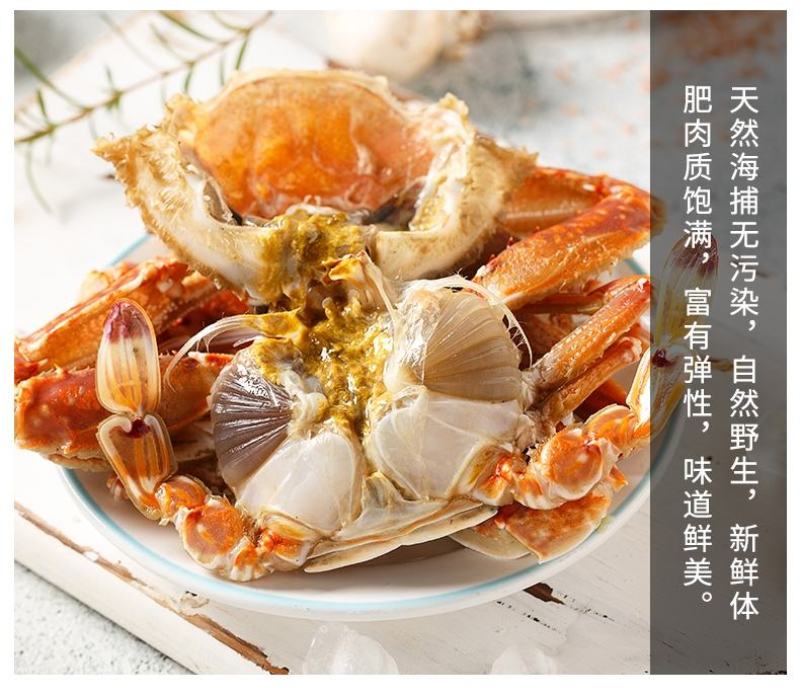 东山岛扁蟹活冻肉蟹大螃蟹花蟹三眼蟹产地直发新鲜到手