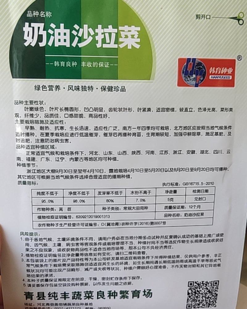 奶油沙拉菜，叶嫩绿色，齿轮状尖形