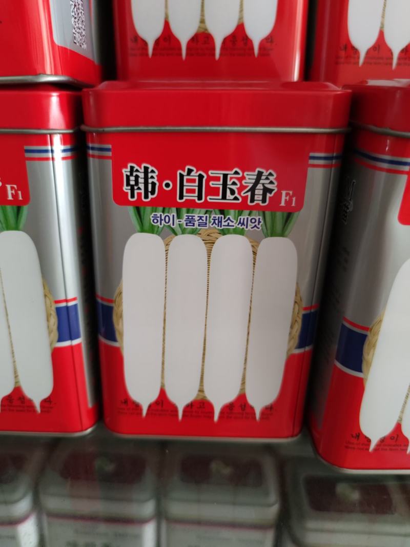 韩白玉春萝卜种子，根部全白色,整齐,长圆筒形,耐抽苔,