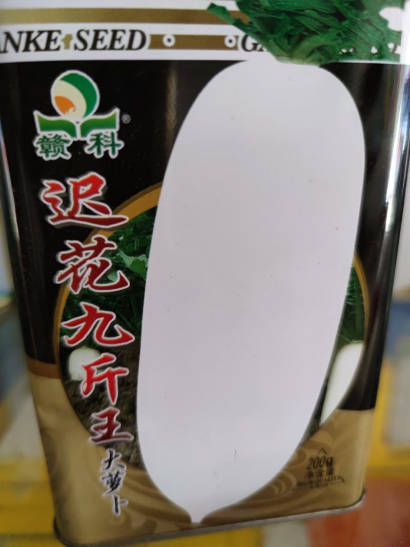 迟花九斤大萝卜种子