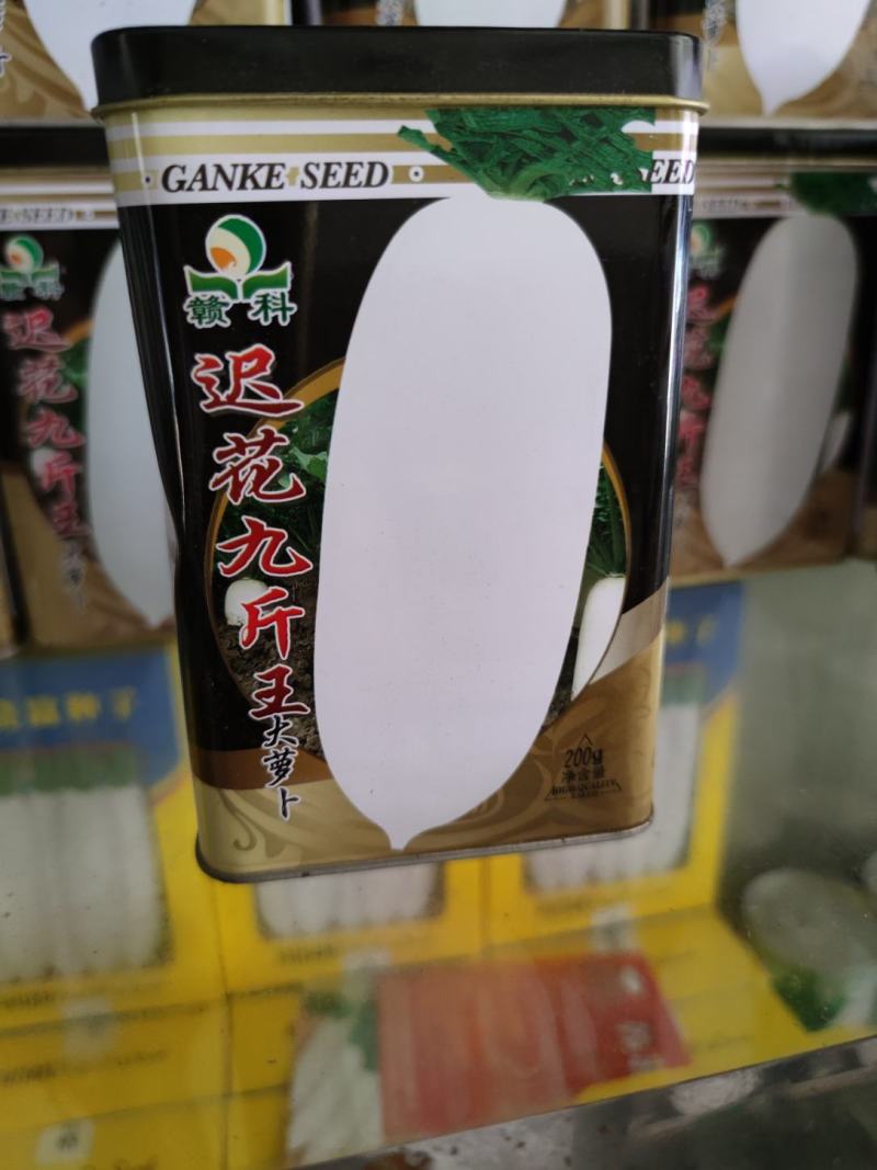 迟花九斤大萝卜种子