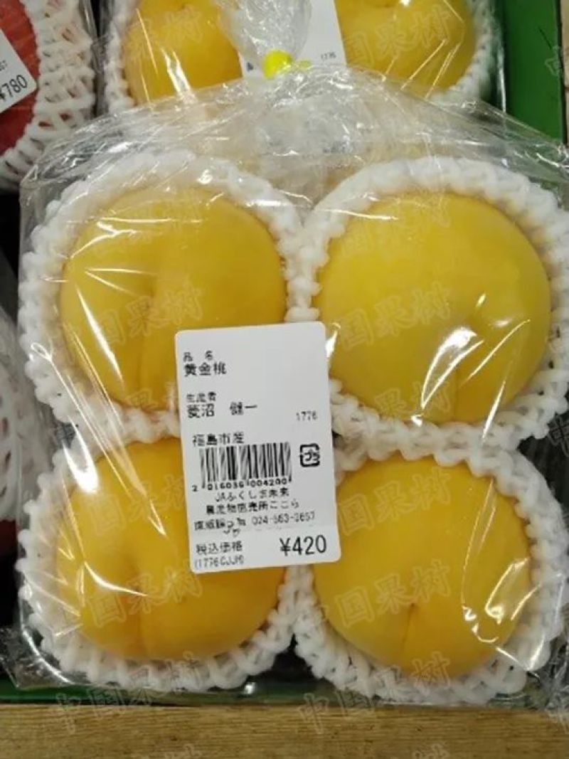 金黄金桃黄金密桃黄金脆桃金黄金黄桃6_10月份黄金桃