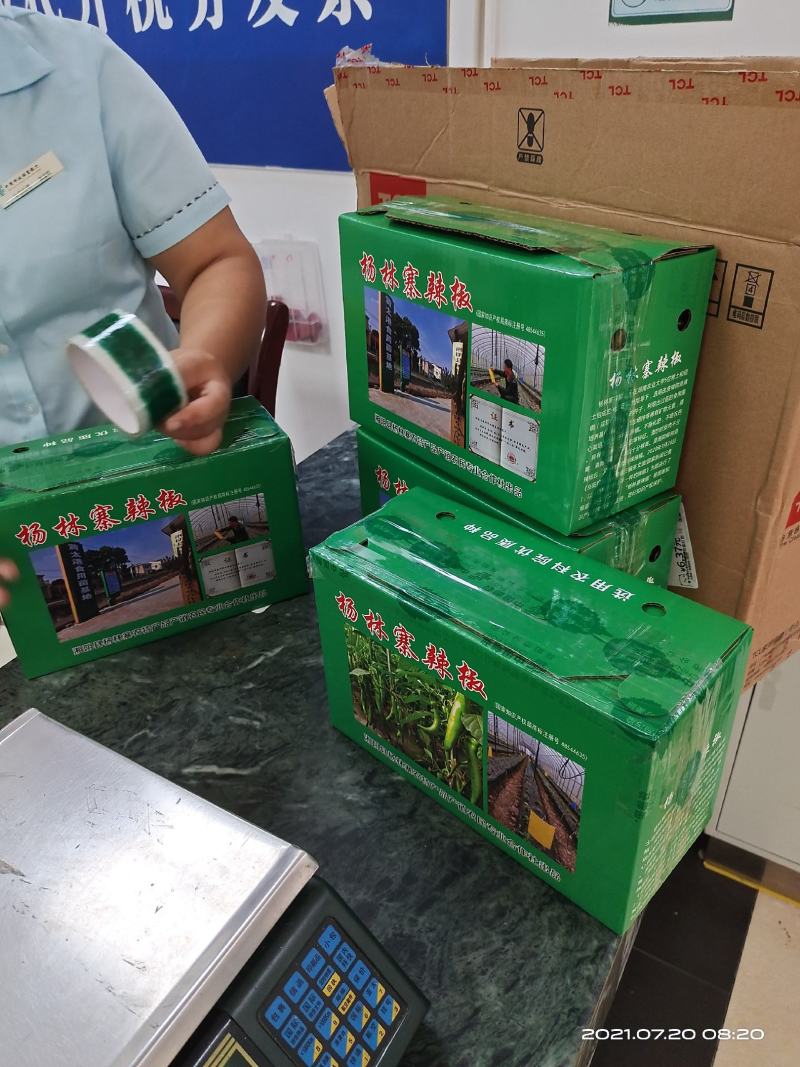 杨林寨辣椒/生长在食用菌培养基上/软嫩香浓/3斤礼盒装