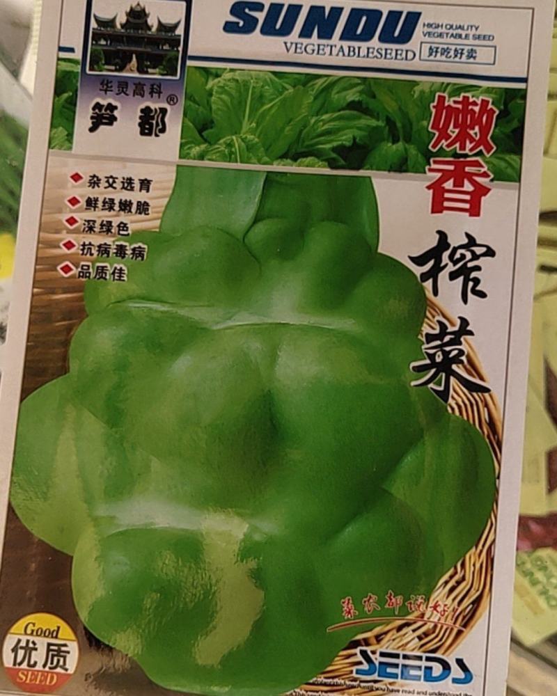 嫩香榨菜种子
