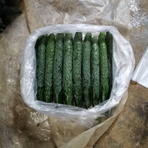 青黄瓜