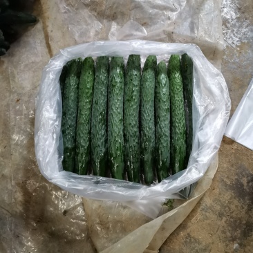青黄瓜