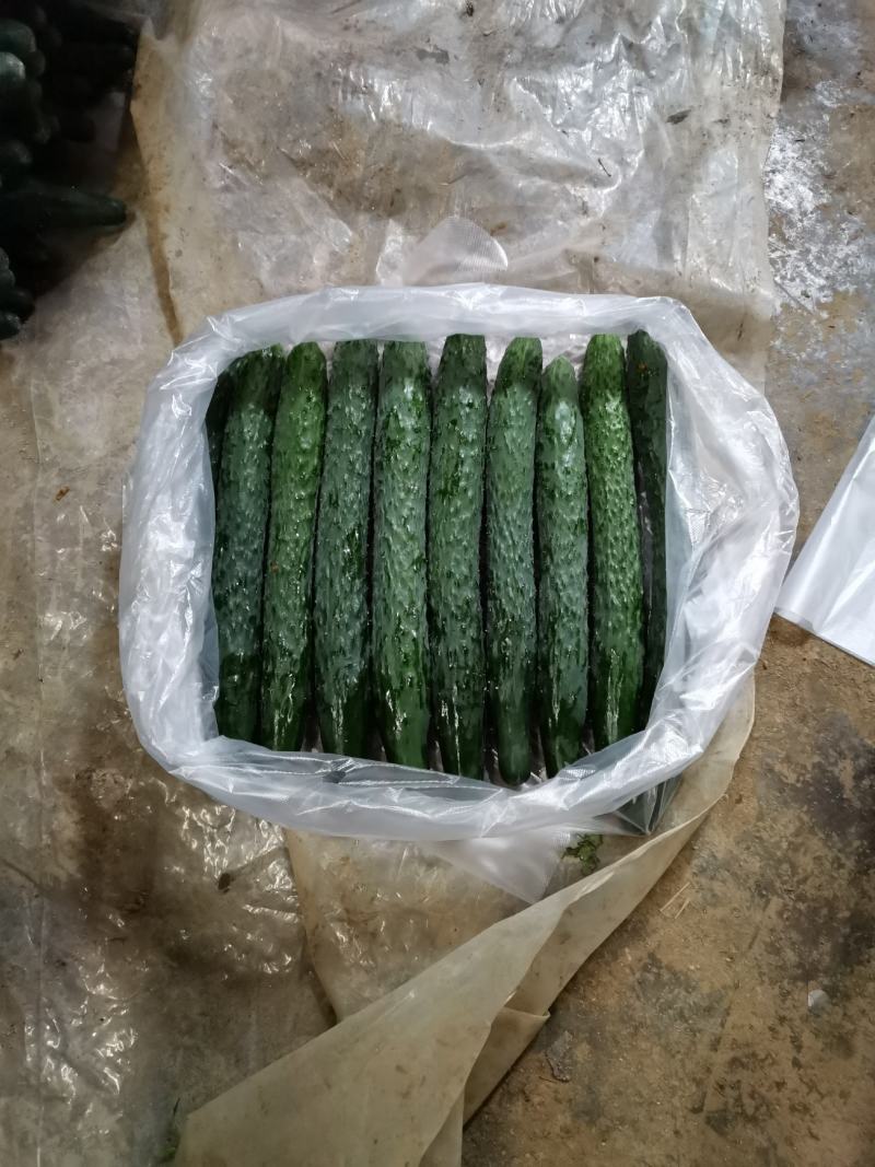青黄瓜