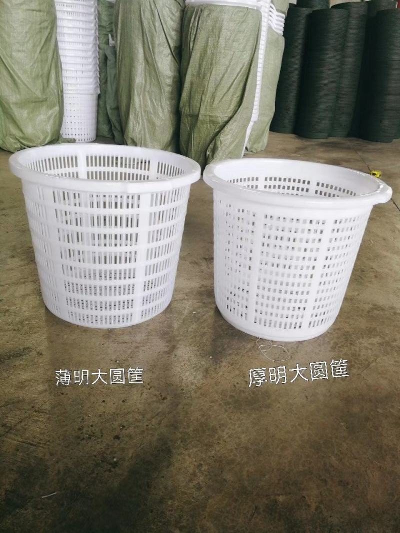 水果筐