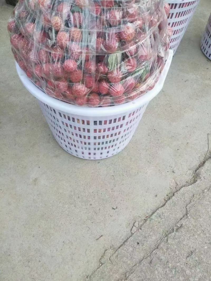 水果筐