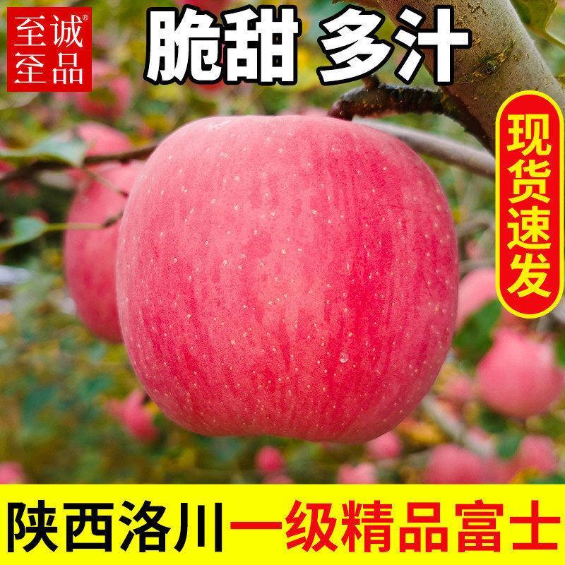 【好果超划算】洛川红富士苹果脆甜多汁当季一件代发批发