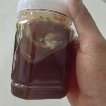 蜂蜜纯正蜂蜜包邮天然野生土蜂蜜百花蜜洋槐蜜蜂