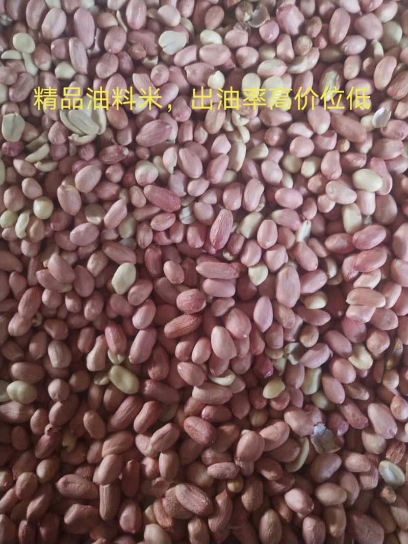 优质花生米产地直销大量供应规格品种齐全大量油料米商品米
