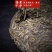 兴源版纳2021年老乌山古。头春普洱茶生茶散茶兰香迷人