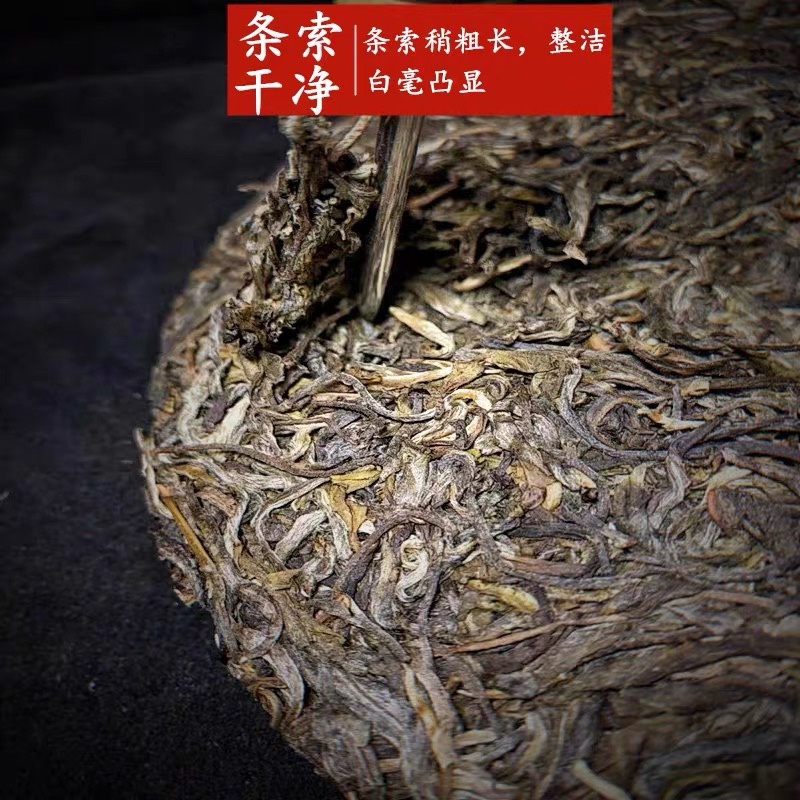 兴源版纳2021年老乌山古。头春普洱茶生茶散茶兰香迷人