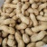 精品鲜花生，保质保量籽粒饱满，对接全国，电商市场超市档口