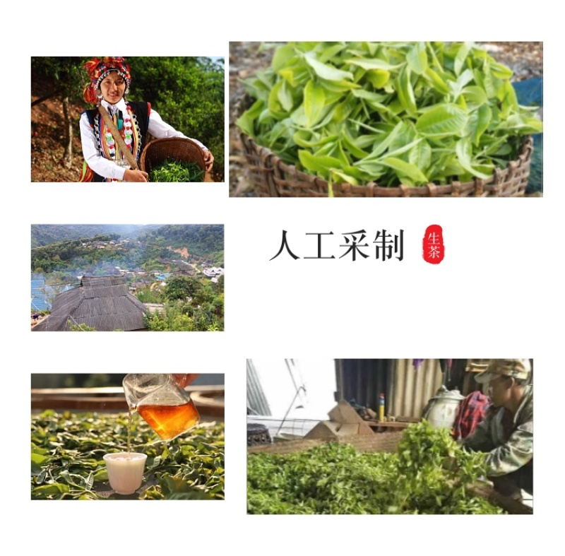 源头批发2018年正宗帕沙犀牛塘春茶普洱生茶357g饼