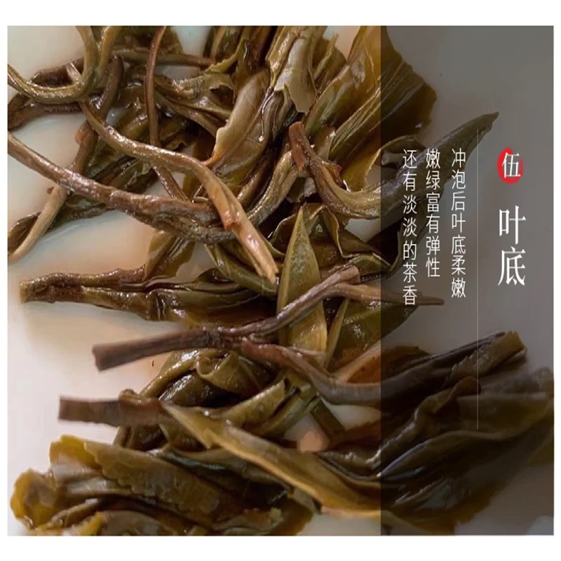 源头批发2018年正宗帕沙犀牛塘春茶普洱生茶357g饼