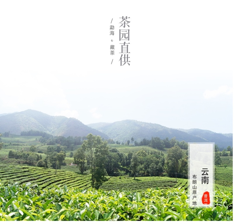 【厂家直销】2004年老料新压青贡砖普洱茶熟茶250g砖