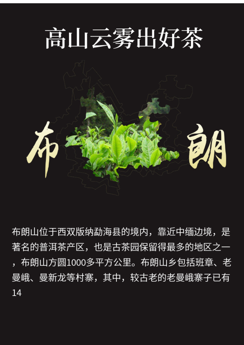 清仓特价处理一批好评如潮的布朗山熟茶普洱茶