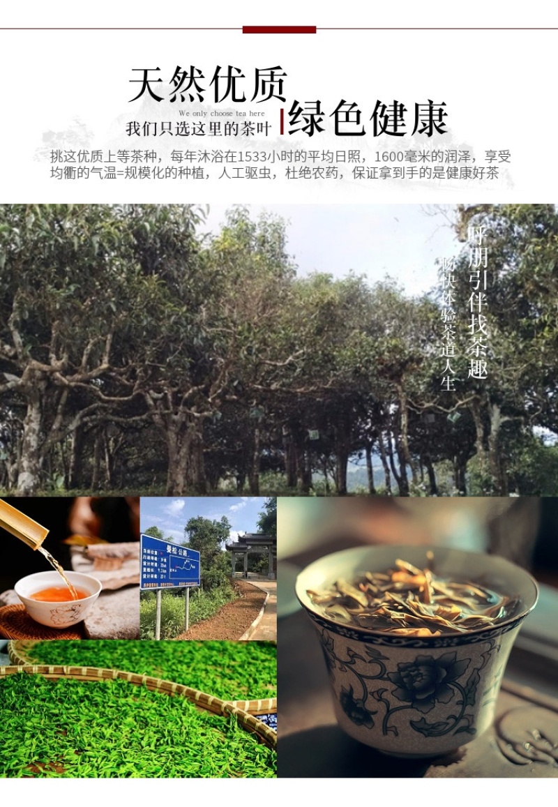 厂家推荐2018年曼松贡茶。头春普洱茶生茶357g饼茶