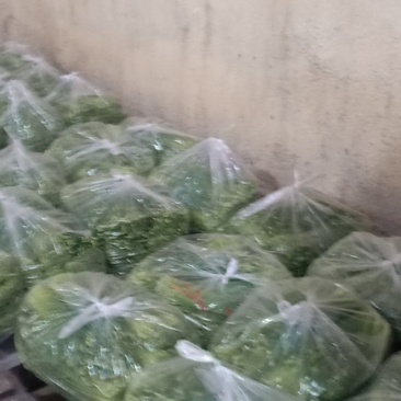 精品韭苔大量上市