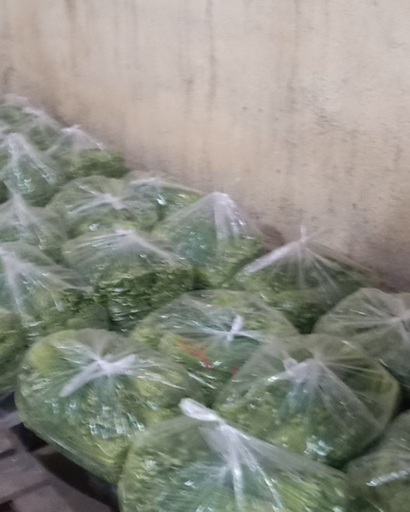 精品韭苔大量上市