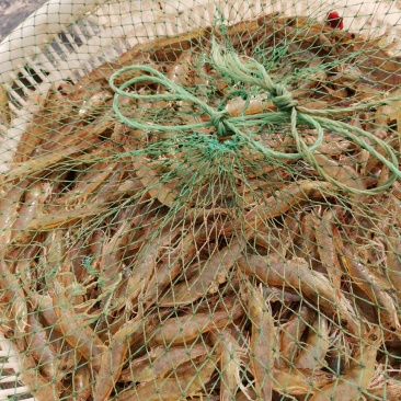 南美白对虾