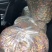 纯果蔬做的果蔬面，不添加任何东西，真材实料，贵在健康